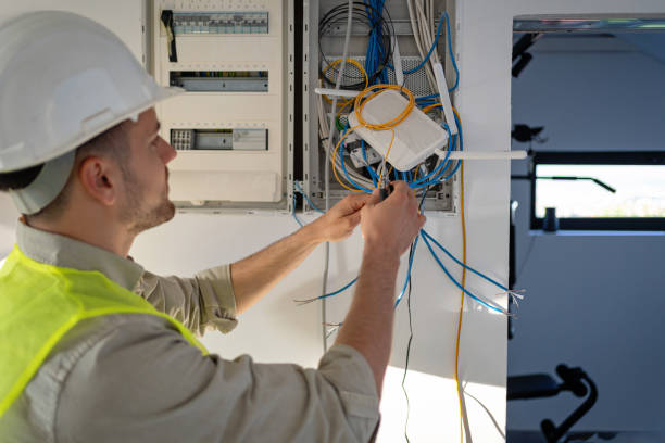 Best Electric Panel Repair  in Hopkins, MN